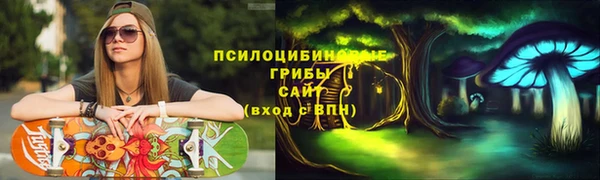 ПСИЛОЦИБИНОВЫЕ ГРИБЫ Баксан